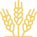ico_1_1